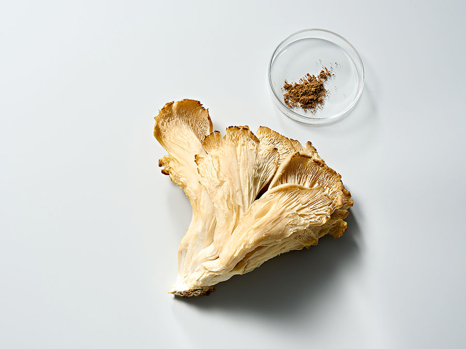 Крем-Антистресс с Экстрактом Грибов Cleanformance